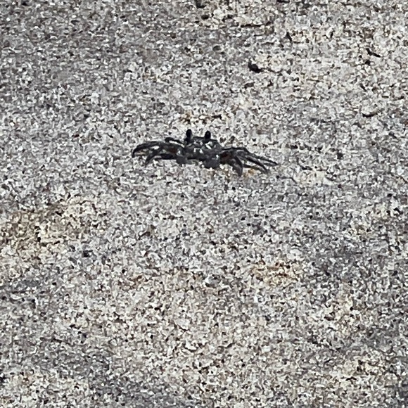 Meet your Posher, Nrdygrl - Picture 5 of 5